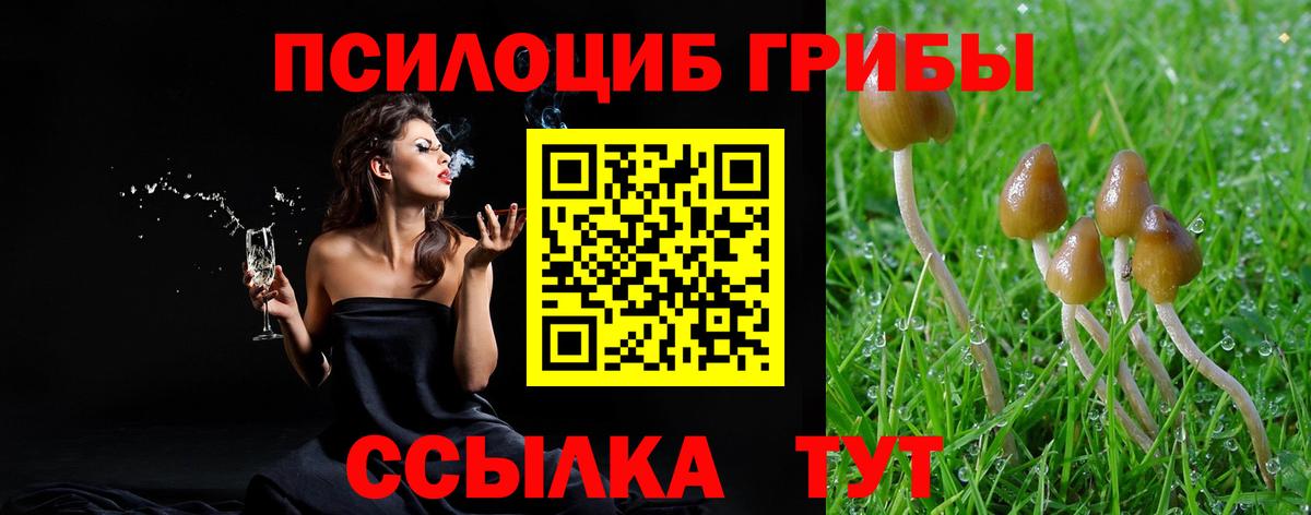 Псилоцибиновые грибы MAGIC MUSHROOMS Бугуруслан
